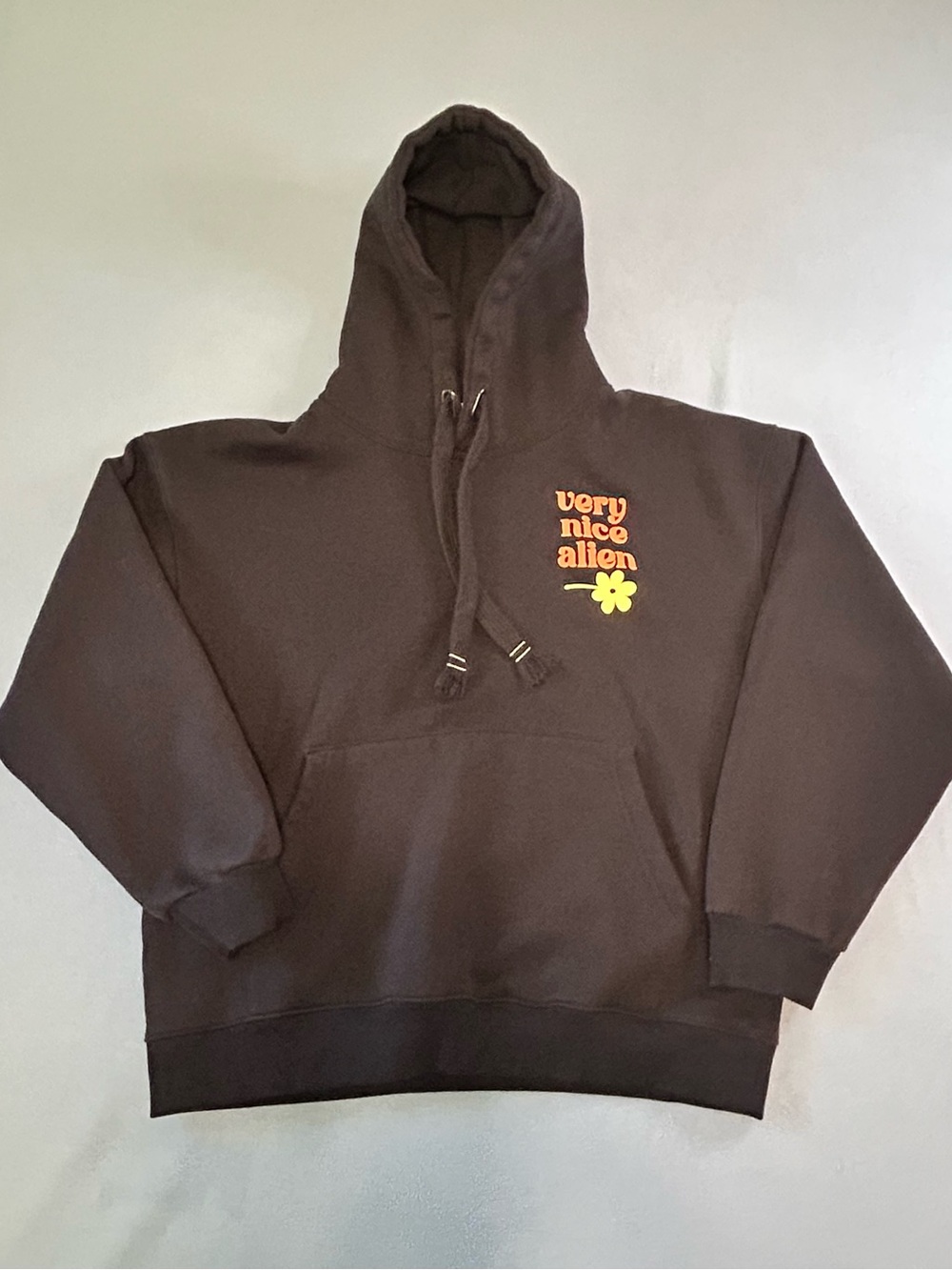 The Worth Now To Be A Very Nice Alien Graphic Hoodie